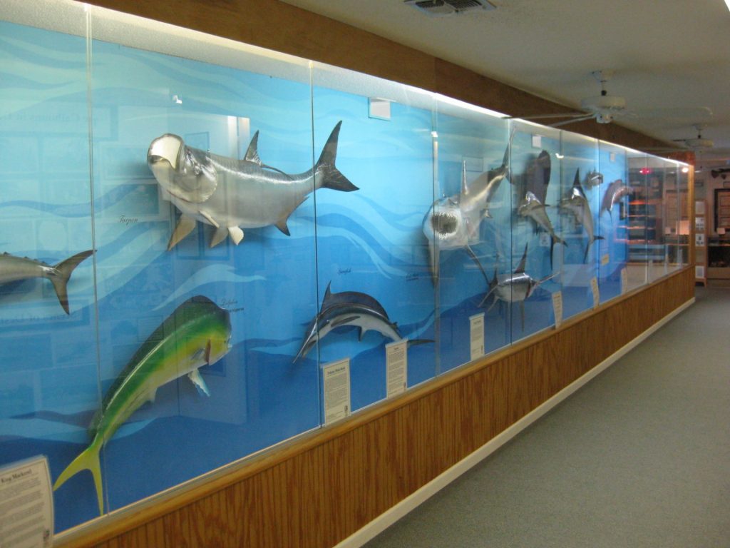 Destin Fishing Museum Destin, Florida