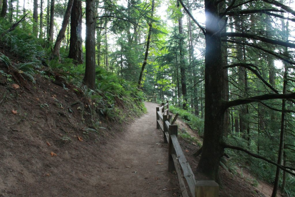 Forest Park Portland, Oregon