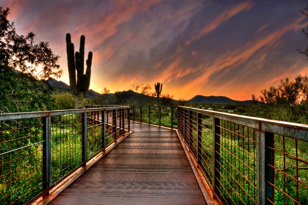 Gateway Trailhead - McDowell Sonoran Preserve Scottsdale, Arizona