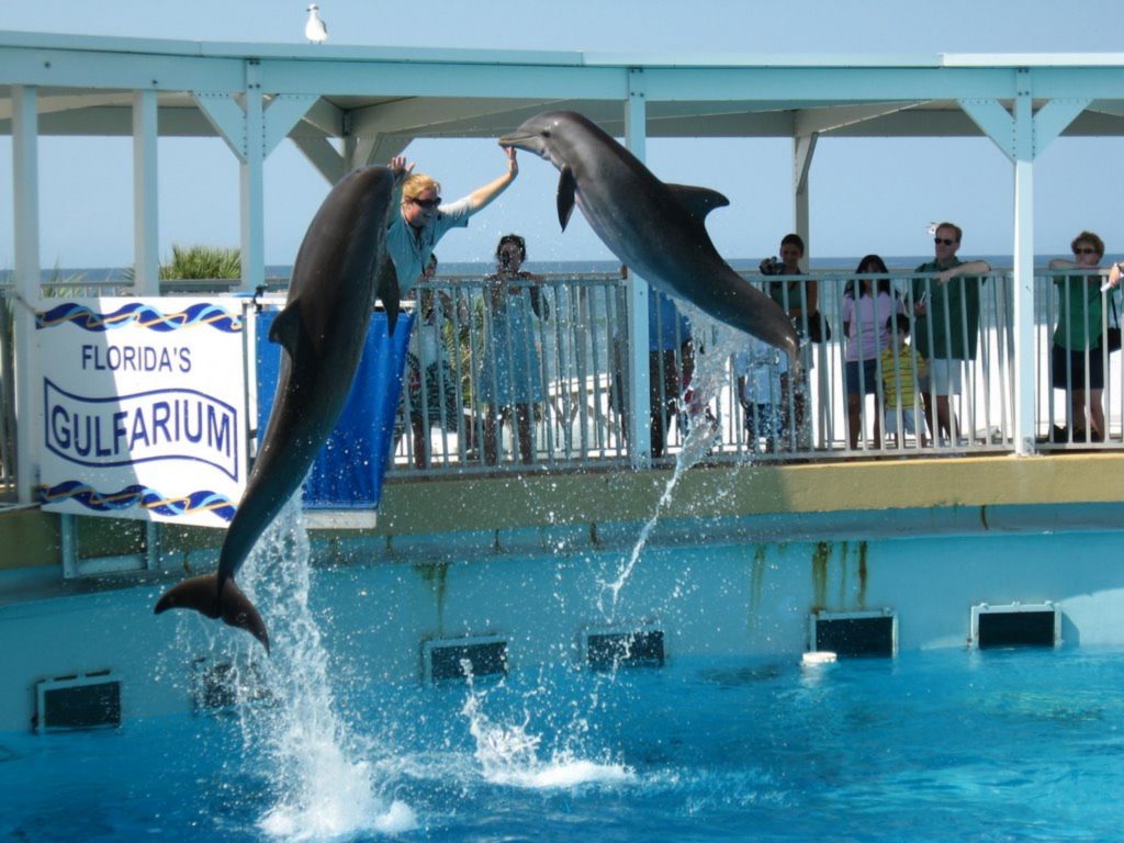 Gulfarium Destin, Florida