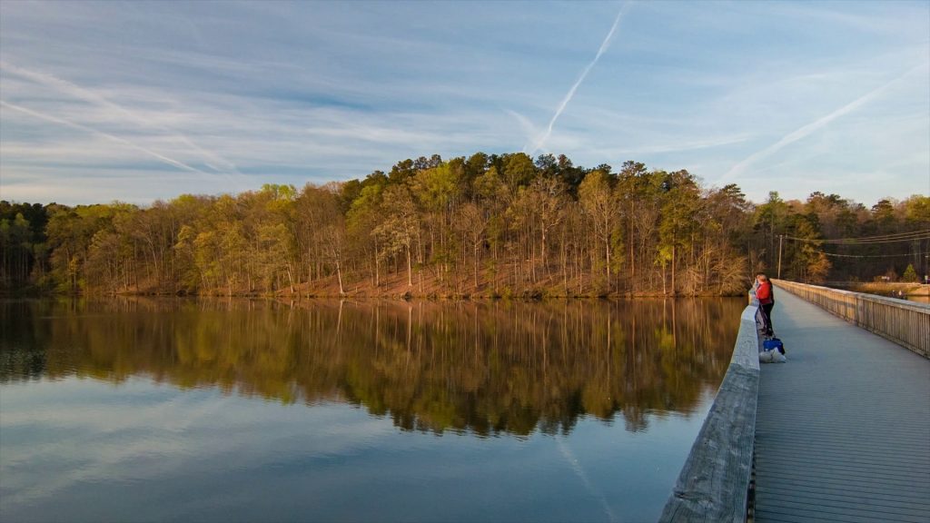 Lake Johnson Raleigh North Carolina