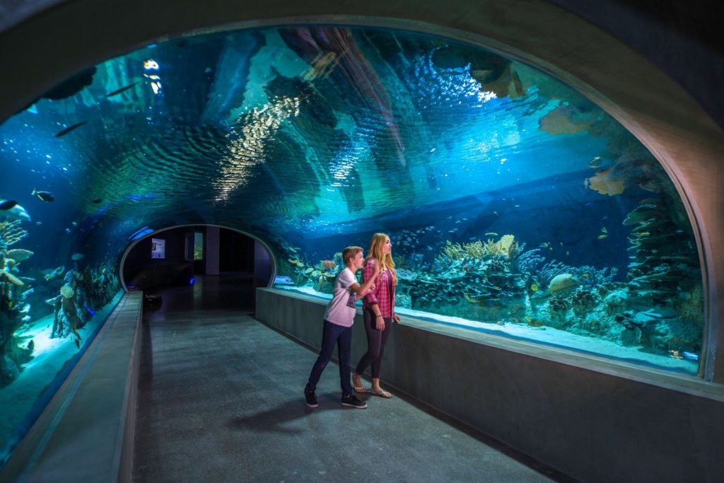 OdySea Aquarium Scottsdale, Arizona