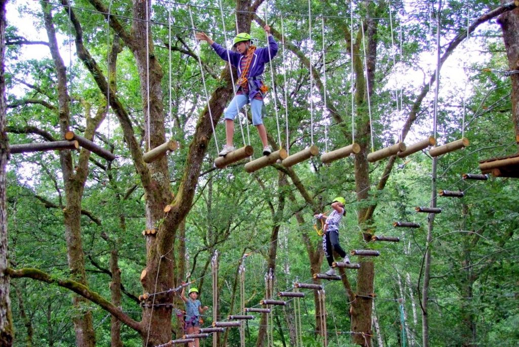 Soar Above the Trees at Bali Treetop Adventure Park Bali Indonesia